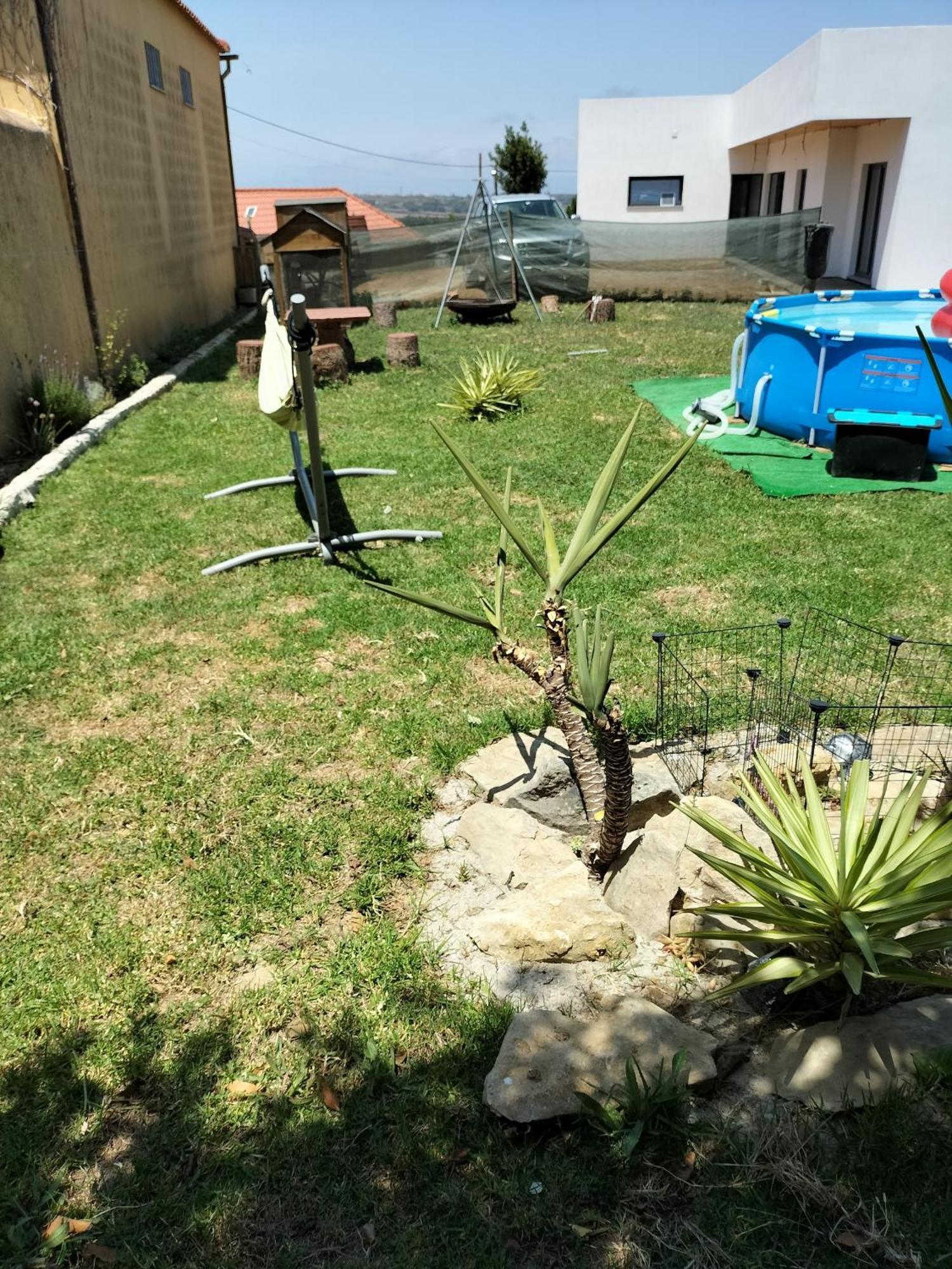 Dinocamp Guest House Lourinha  Exterior photo